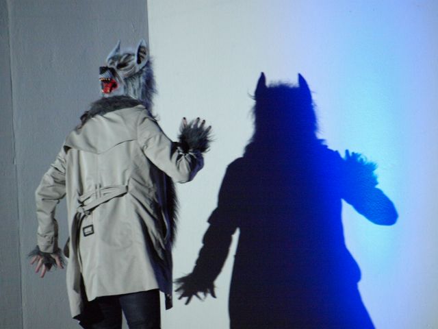 Wolf